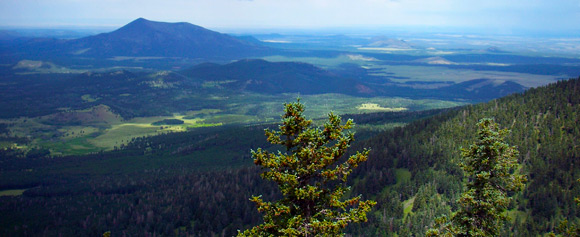 Beautiful Flagstaff Vista